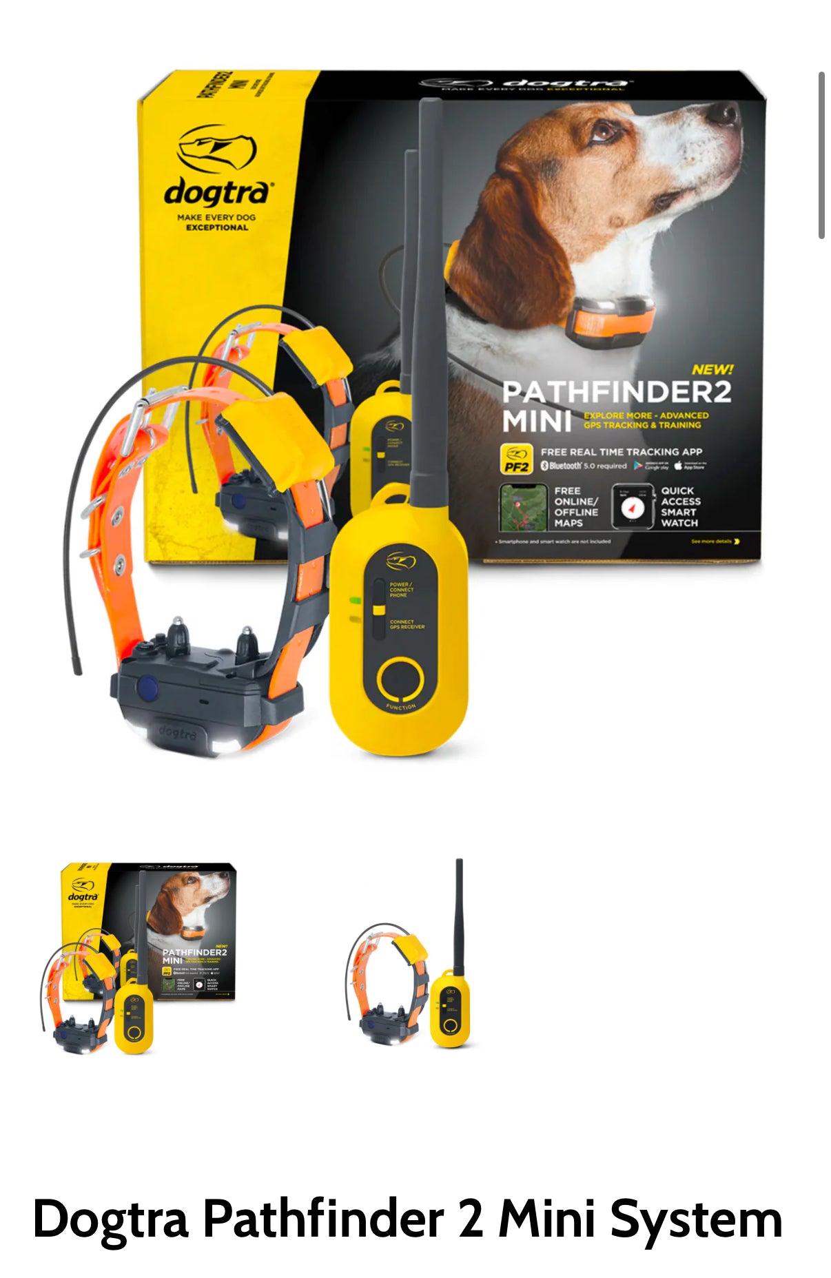 Dogtra Pathfinder 2 Mini