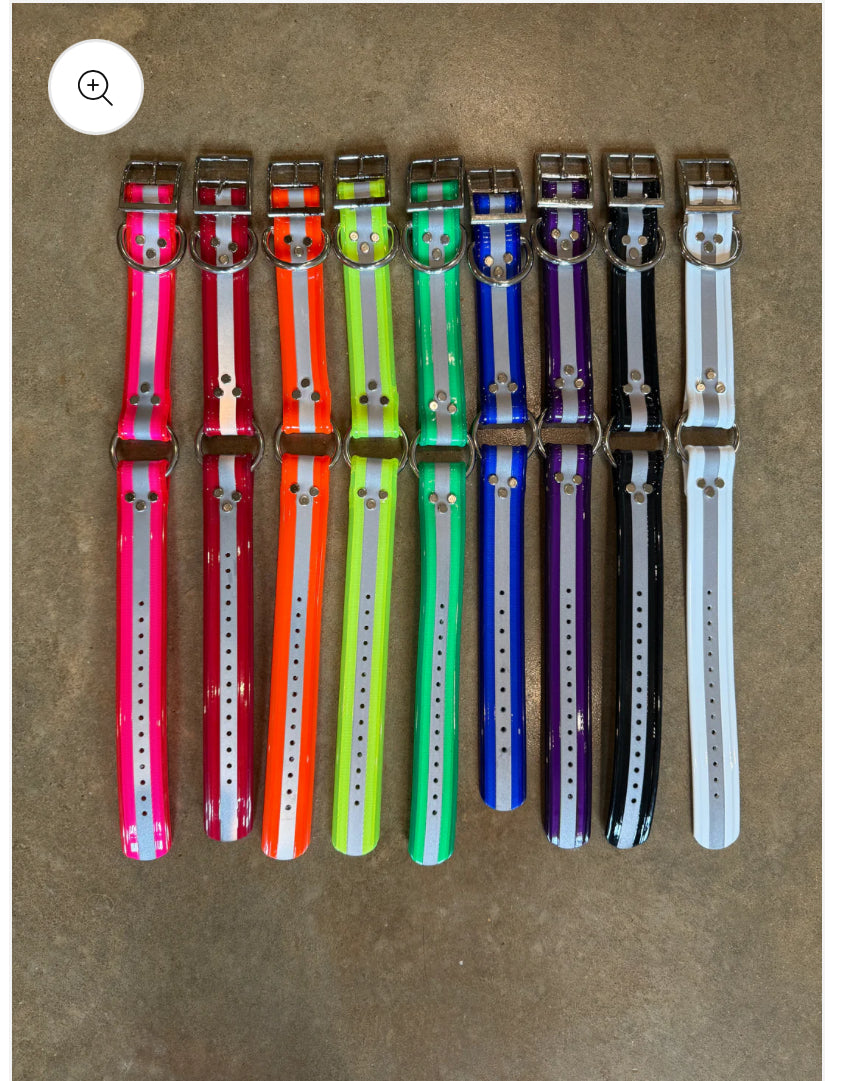 1 1/2” Reflective Dayglo Collar (20”) W/ Black Name Tag