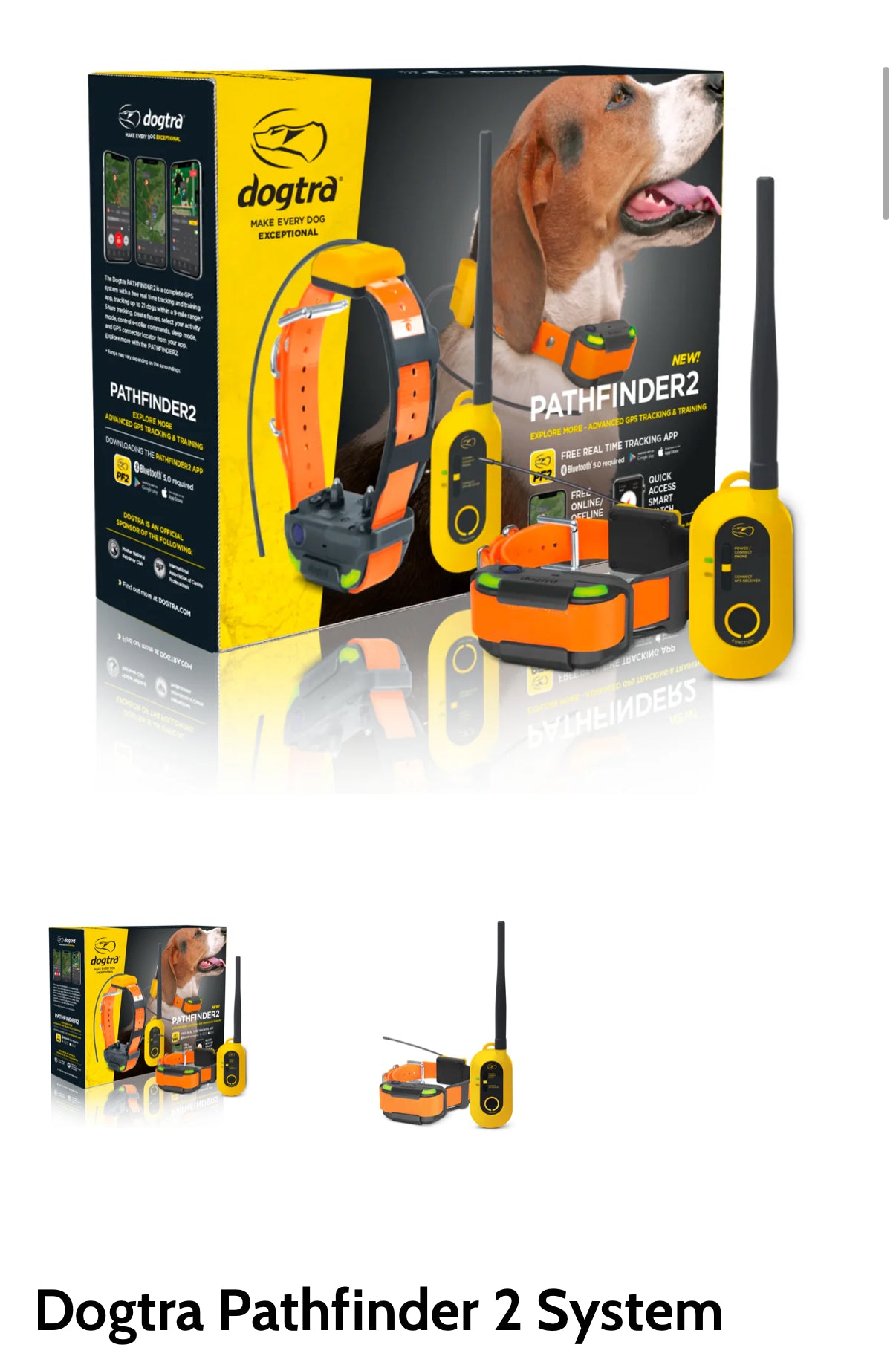 Dogtra Pathfinder 2